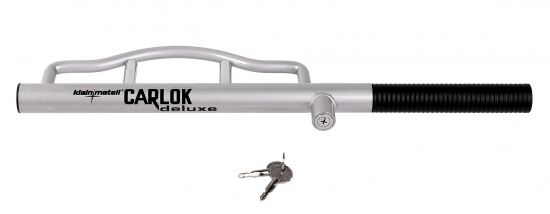 Diebstahlsicherung Silber