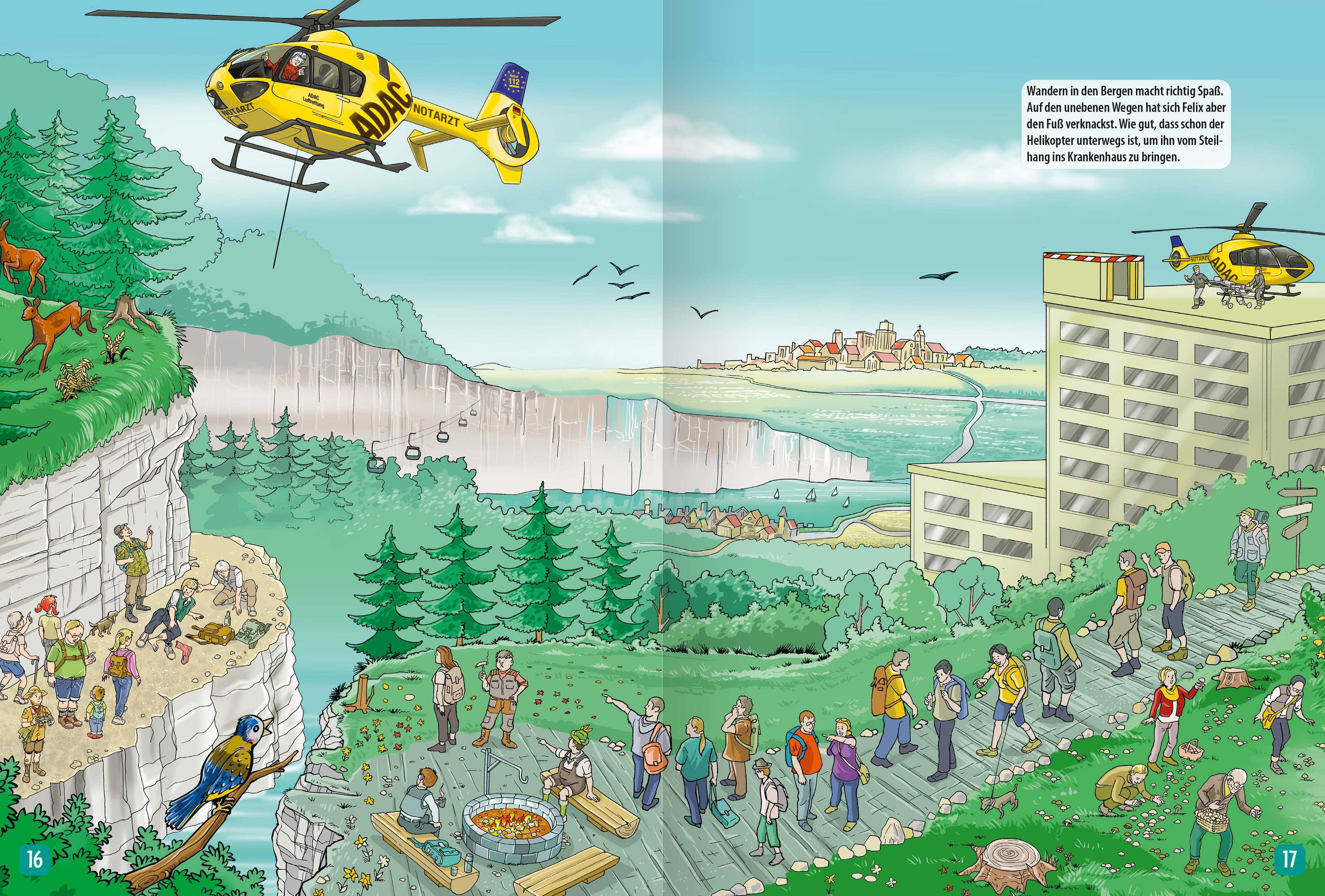 Helikopter, Rettung, Notarzt, Landschaft, Chalet