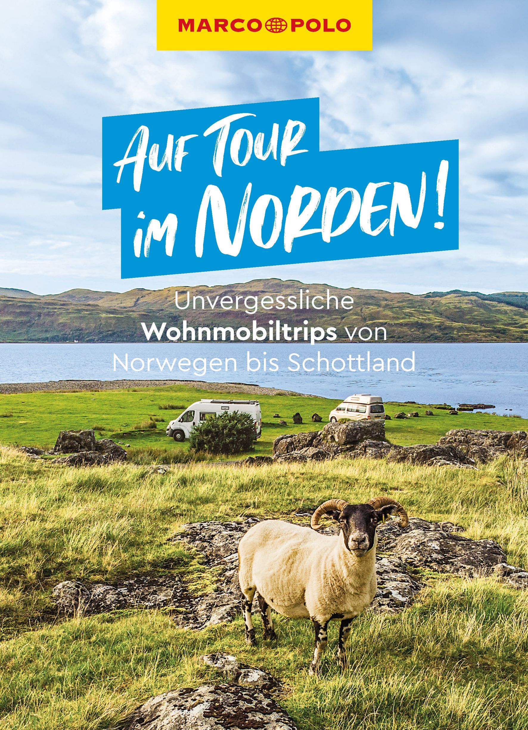 MARCO POLO Auf Tour im Norden! Wohnmobiltrips Schaf, Feld, Grünland, Natur, Draußen