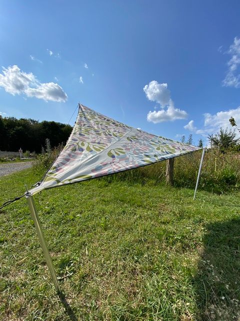 Gras, Pflanze, Mobiliar