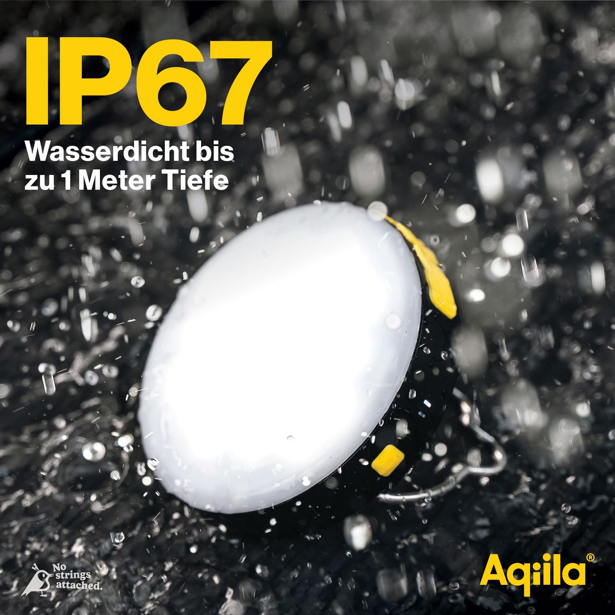 Wasserdicht, IP67, Ohrstöpsel, Schutzgehörschutz, Aquila