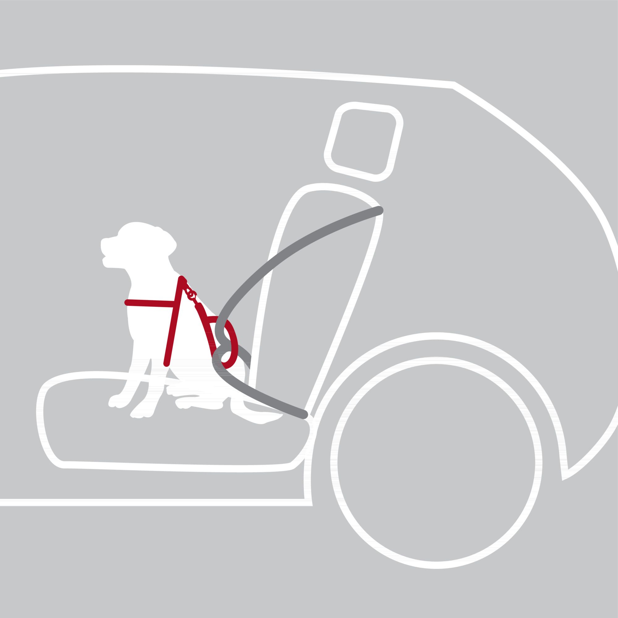 Trixie-Autogeschirr-4 hundegurt