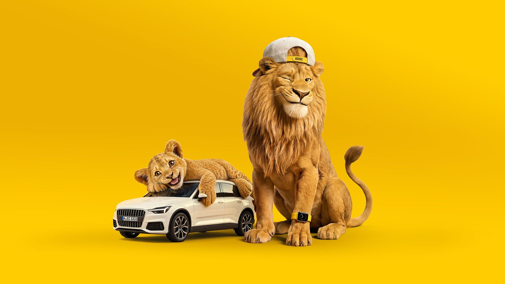 Löwe, Spielzeugauto, Halsband, Kappe, gelber Hintergrund