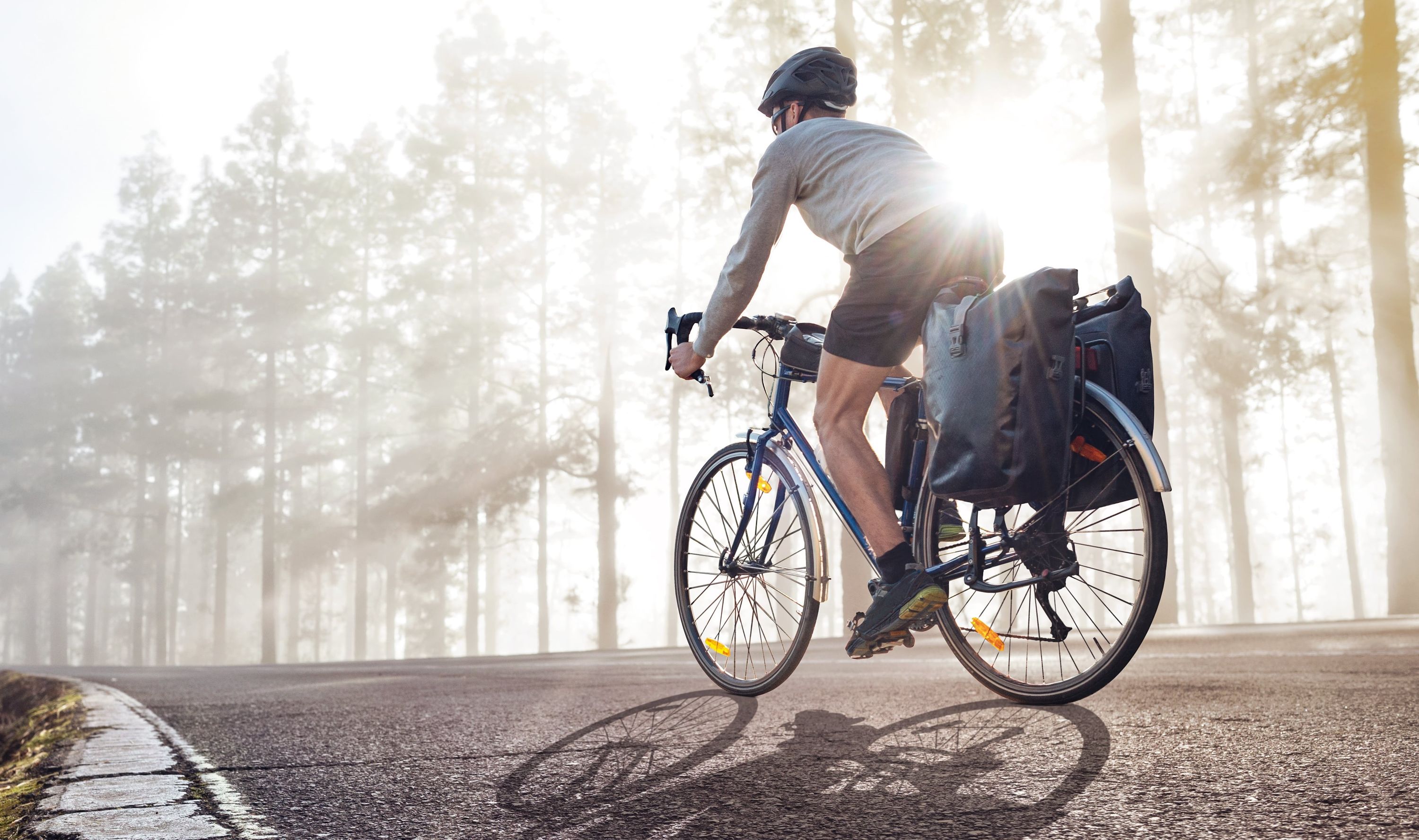Helme, Radsport, Person, Erwachsener, Mann,