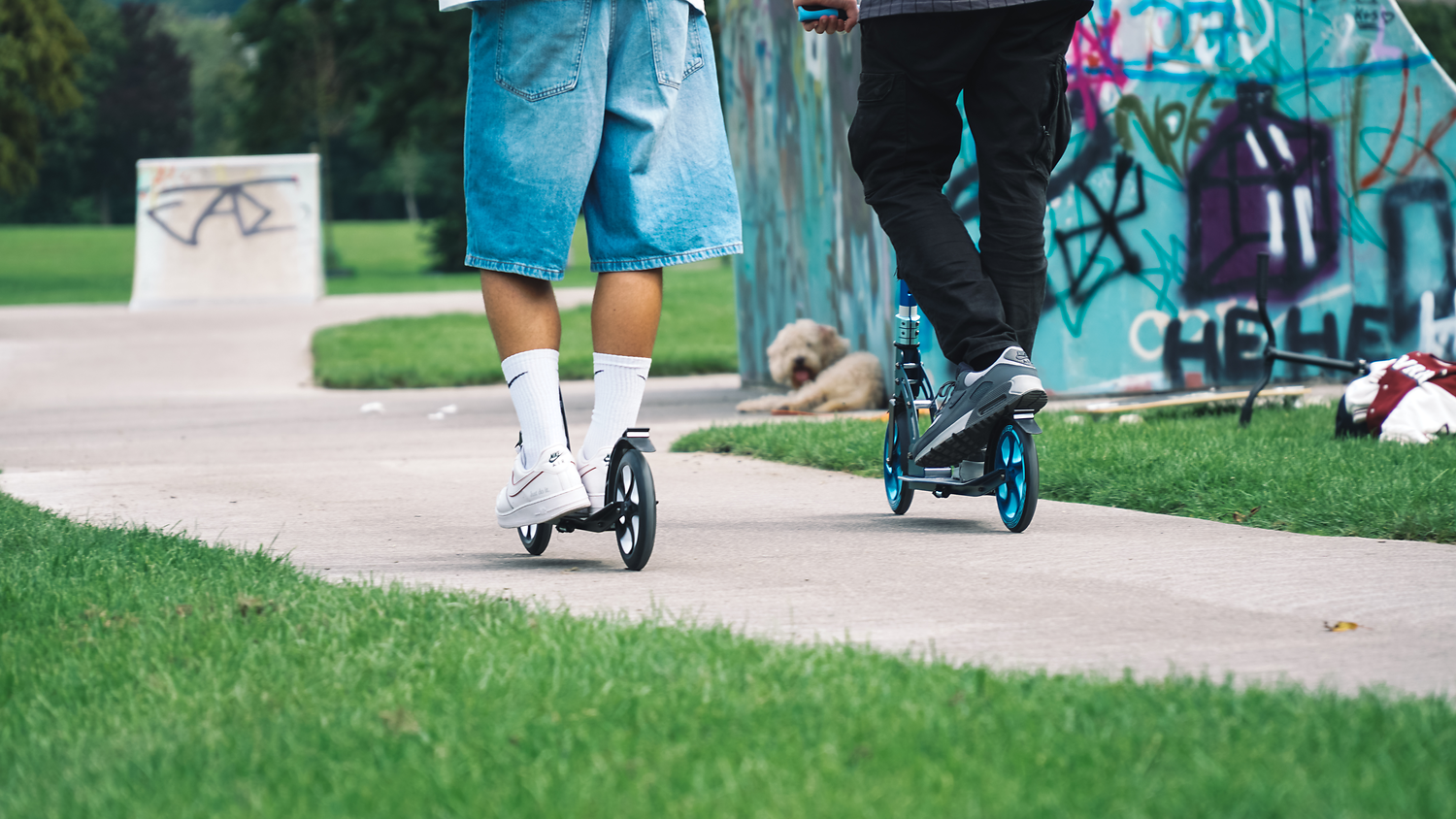 Person, Gehen, Kurze Hose, Hund, Schuh