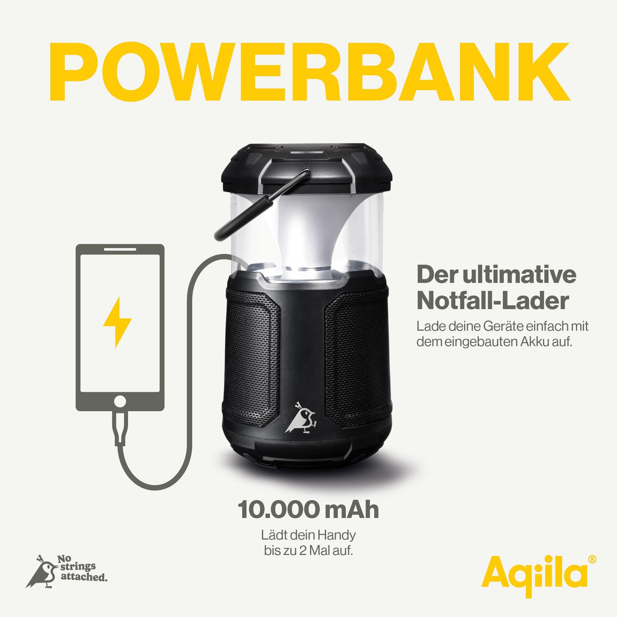 Powerbank, Ladegerät, 10.000 mAh, LED-Lampe, Kompakt