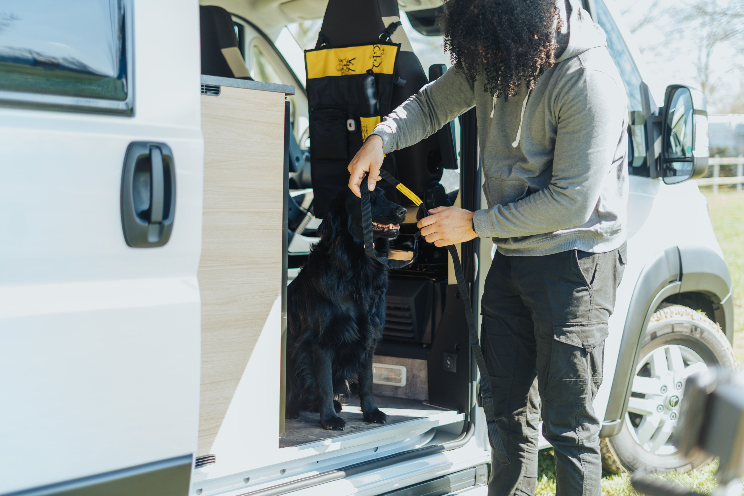 Schwarzer Hund sitzt im Auto und wird angeleint