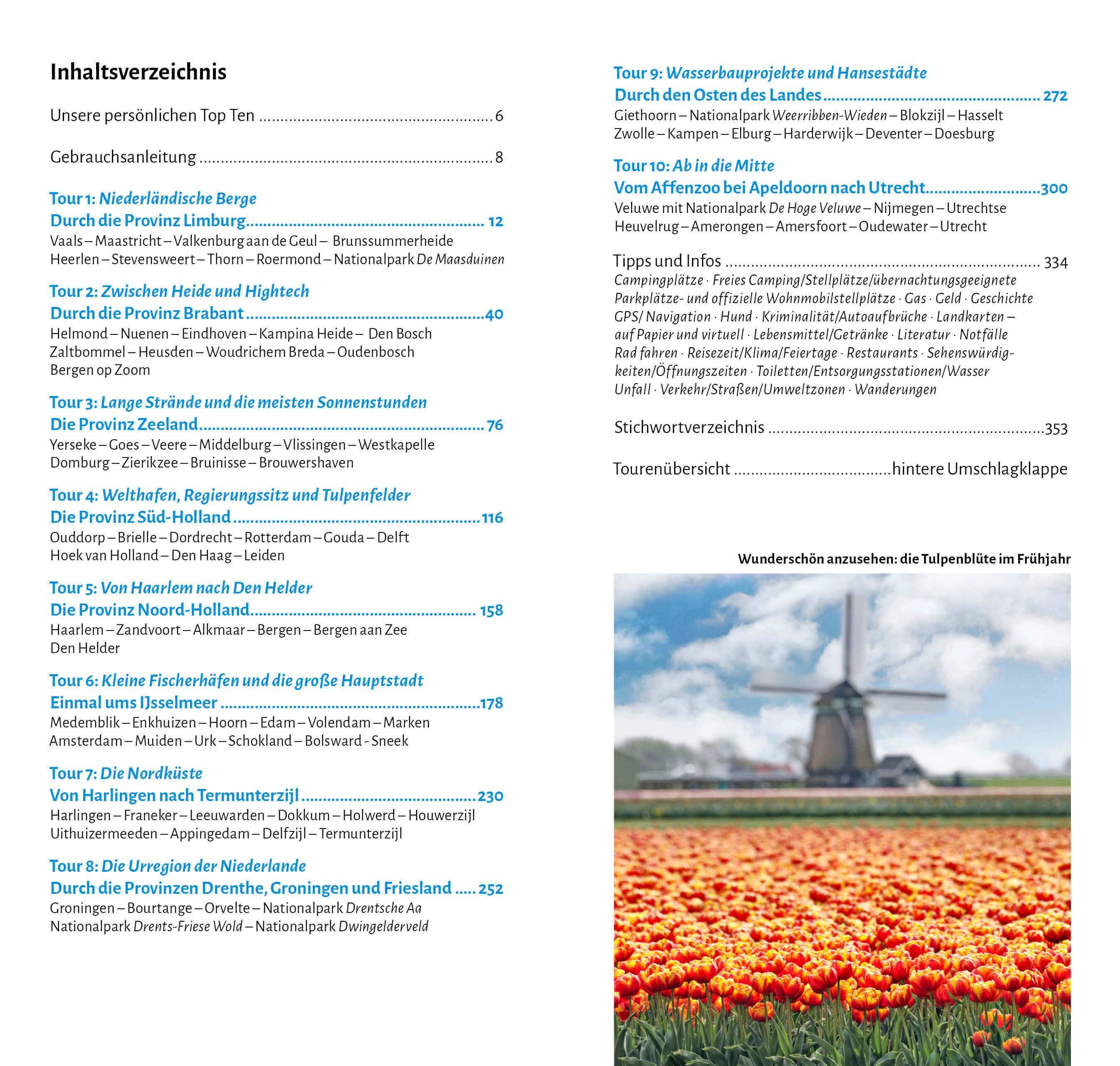 Tulpenfeld, Blumenfeld, Tulpen, Feldblumen, Farbig
