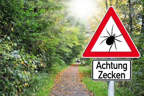Zeckensaison Pfad, Vegetation, Regenwald, Schild, Straßenschild,