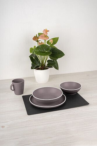 Pflanze, Blume, Blumen-Arrangement, Töpferei, Untertasse