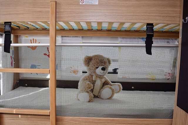 teddy bear, plush toy, brown, orange, sitting
