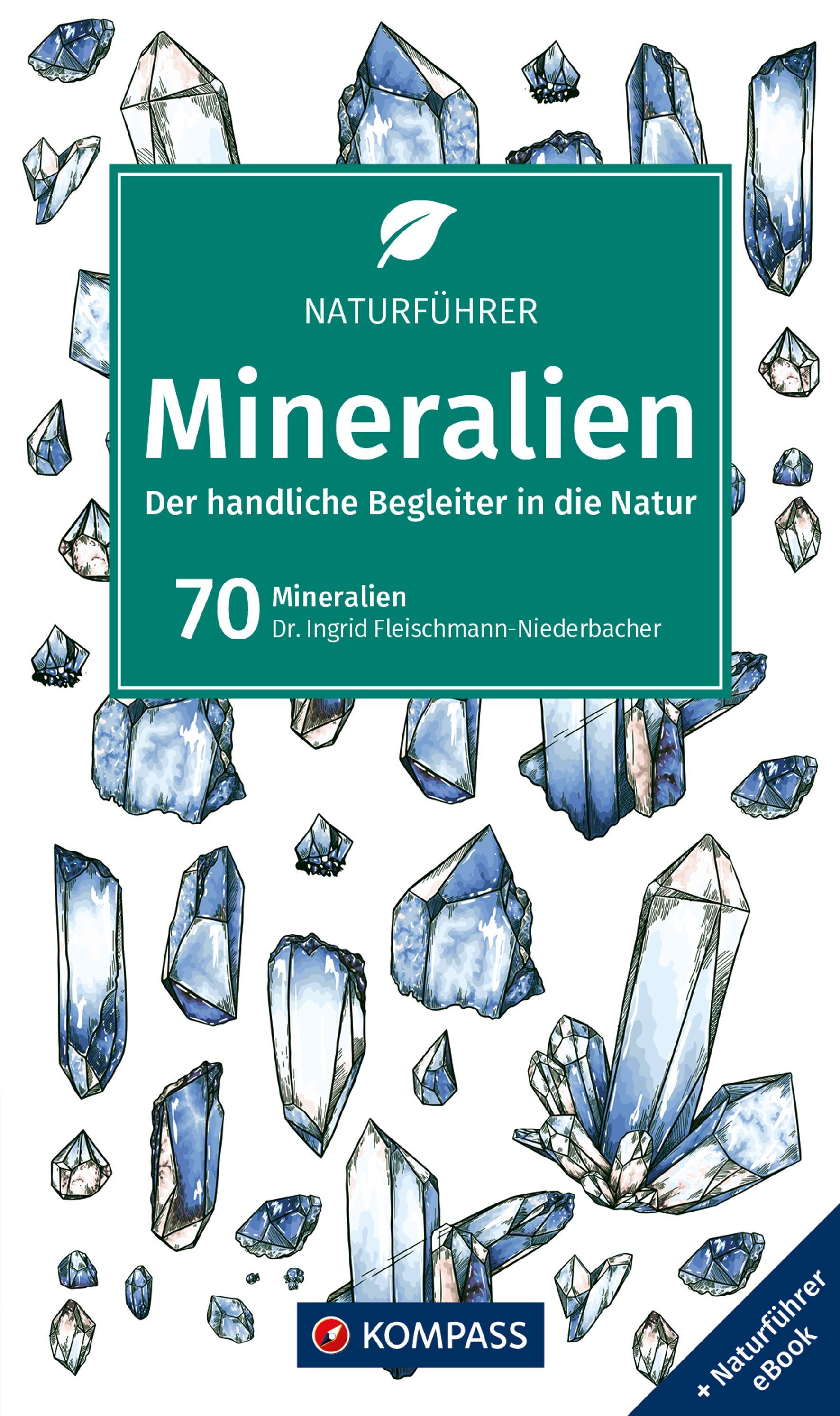 KOMPASS Naturführer Mineralien Zubehor, Diamant, Edelstein, Schmuck, Mineral