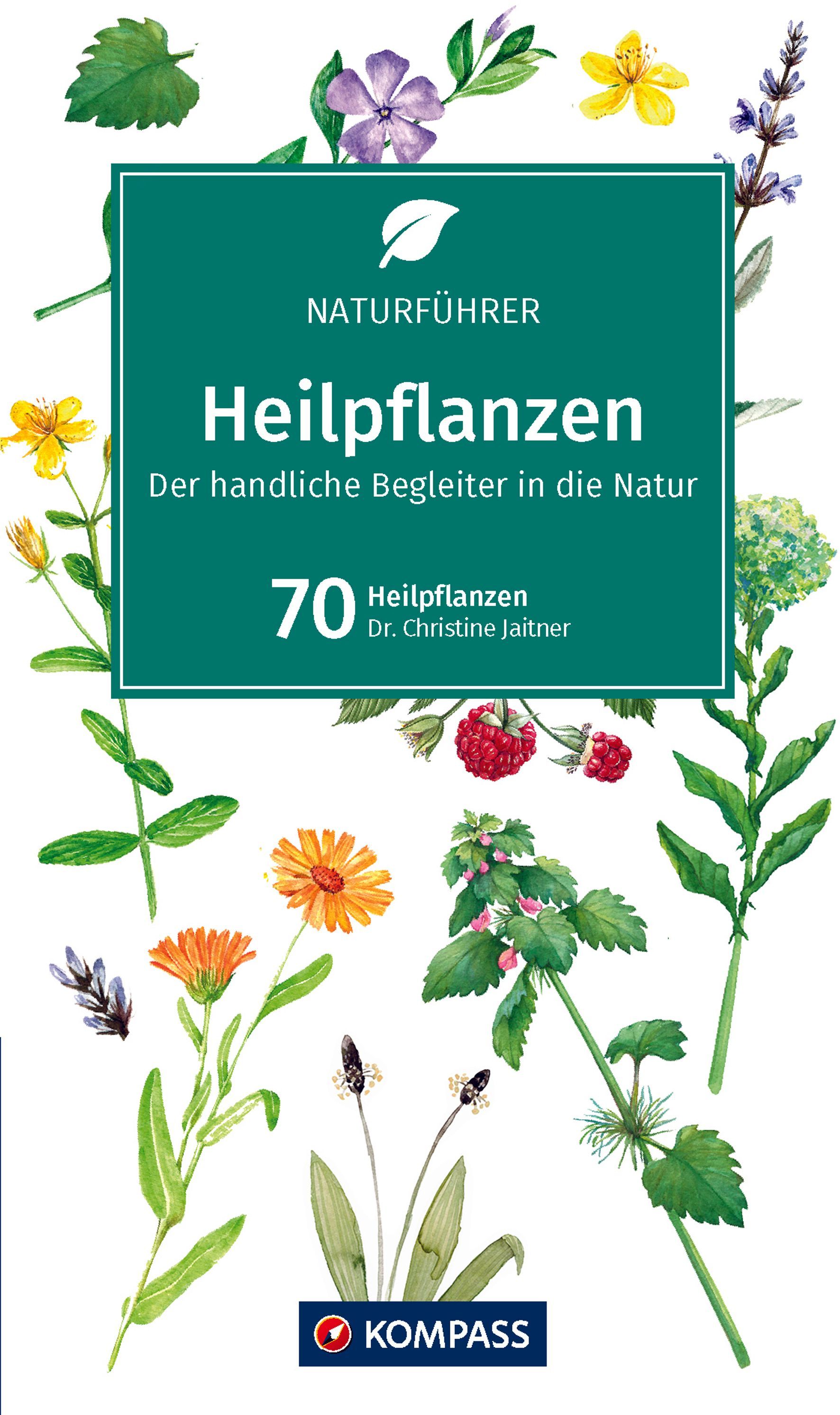 heilpflanzen, pflanzenbuch, nature illustrations, heilpflanzen buch, kompass verlag