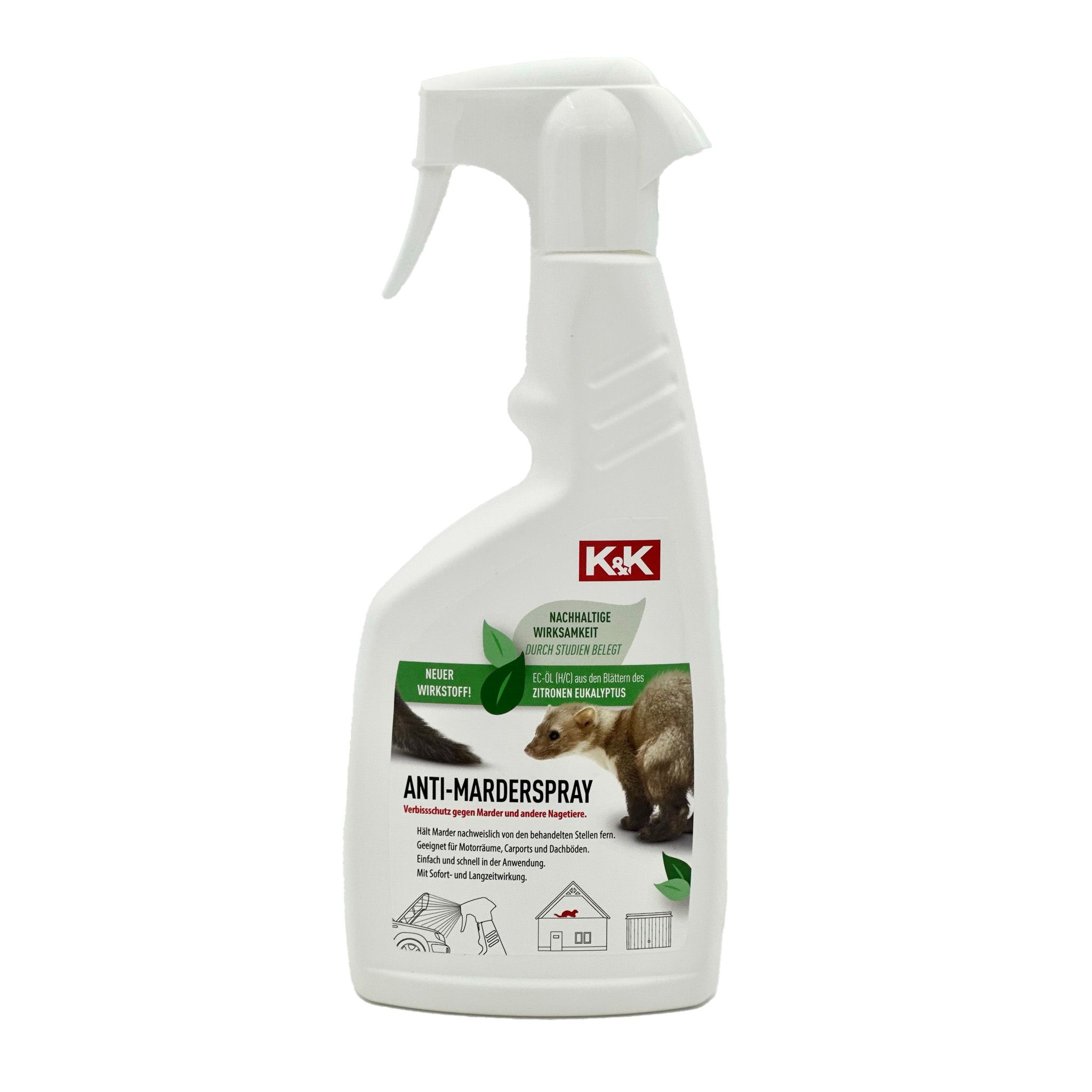 Flasche, Bär, Säugetier, Tierwelt, Zinn