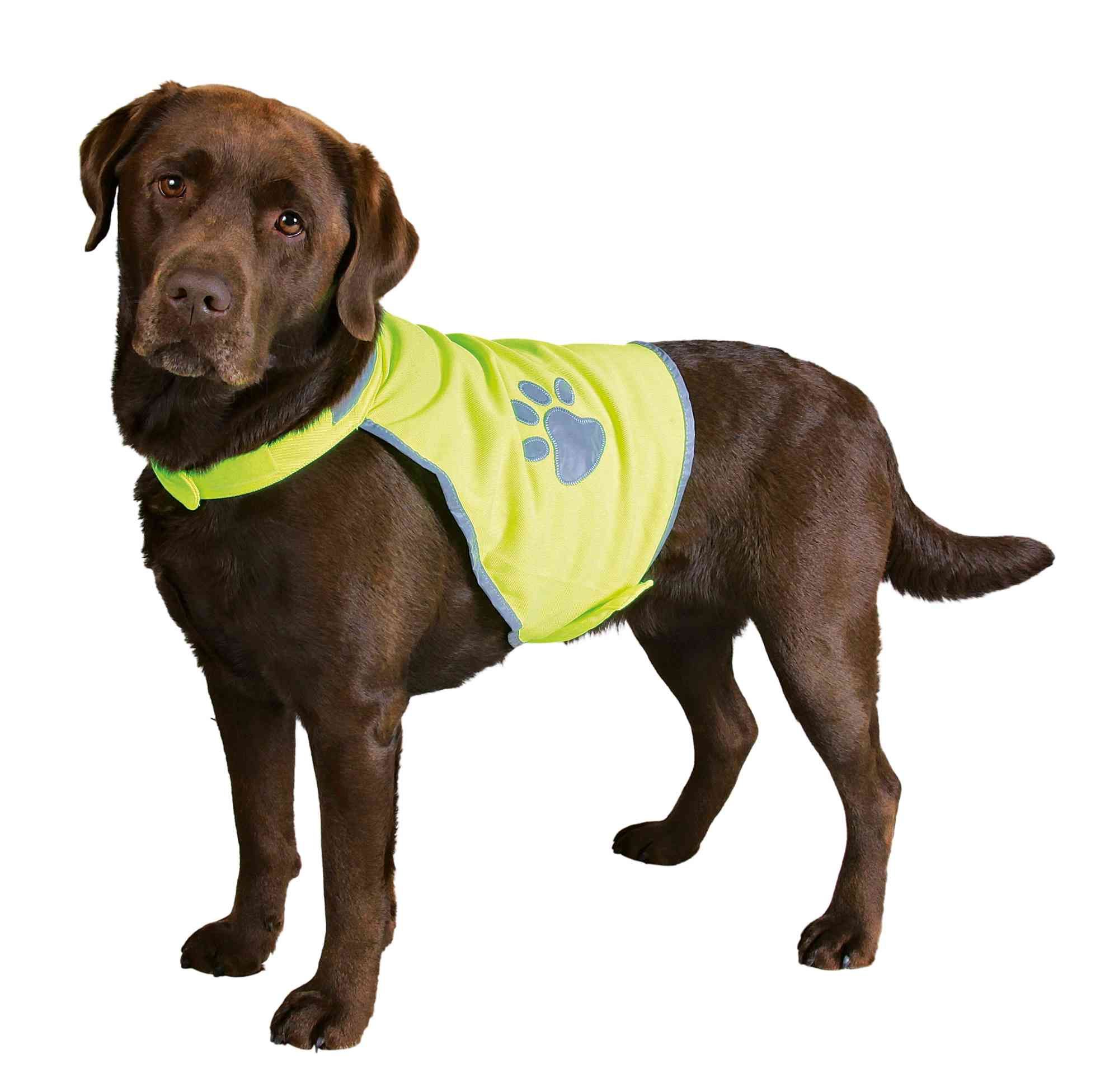 30091_Sicherheitsweste-mit-Hund hunde sicherheitsweste