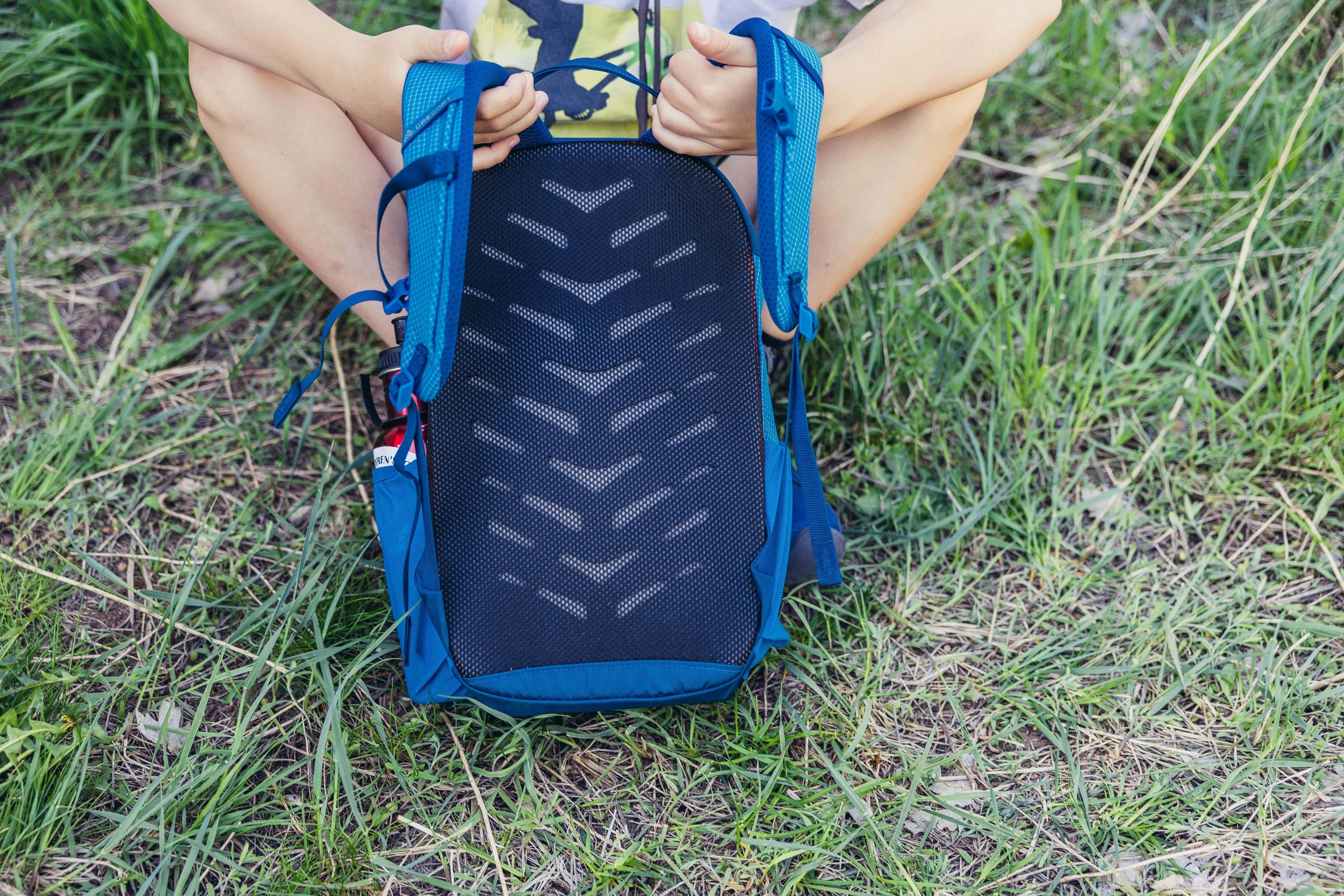 Gras, Pflanze, Tasche