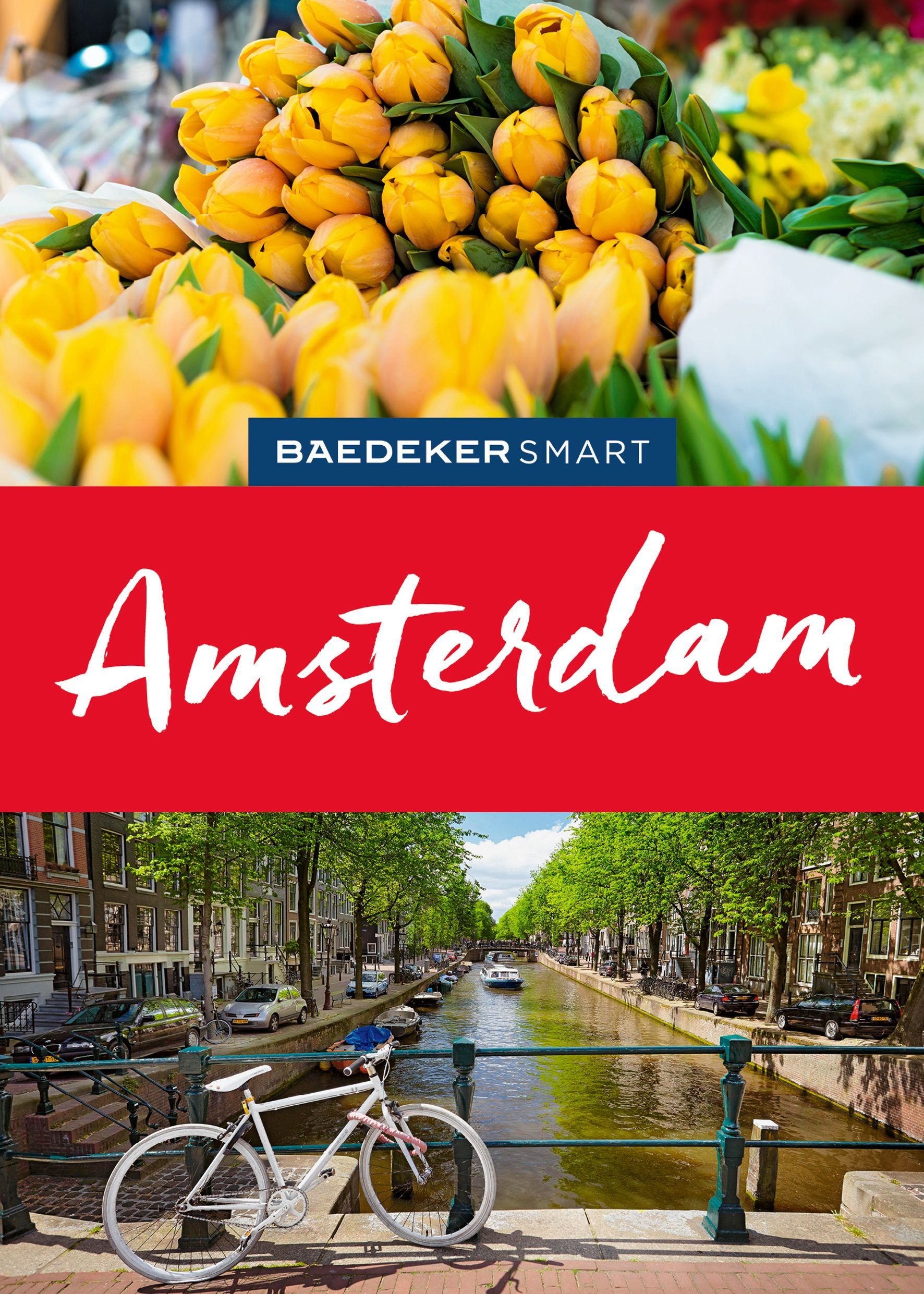 tulips, yellow, bouquet, floral, Amsterdam