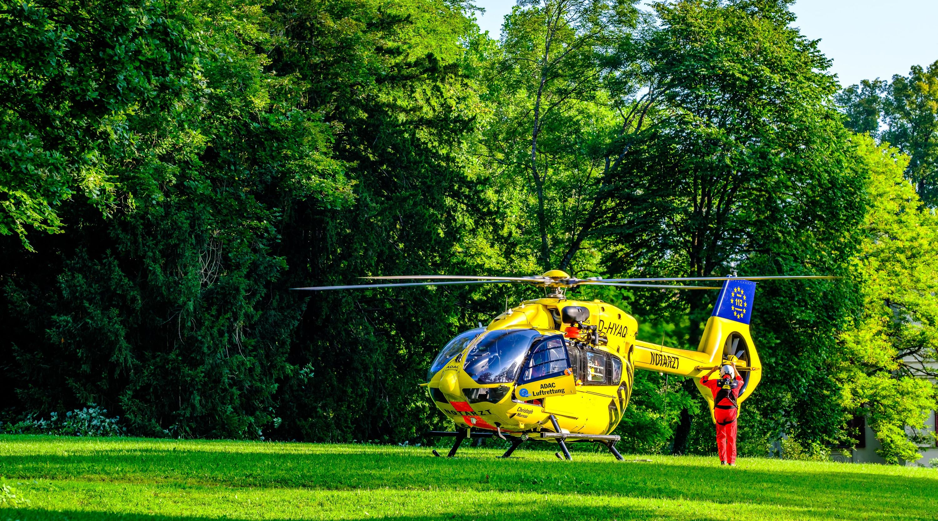 Flugzeug, Hubschrauber, Fahrzeug, Gras, Person,