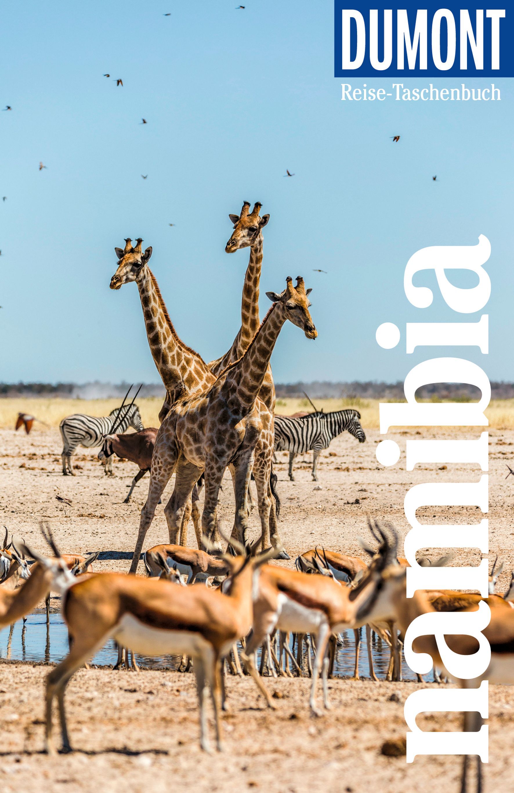DuMont Reise-Taschenbuch Reiseführer Namibia Cover Dumont Reiseführer Namibia. Tier, Tierwelt, Zebra, Antilope, Vogel