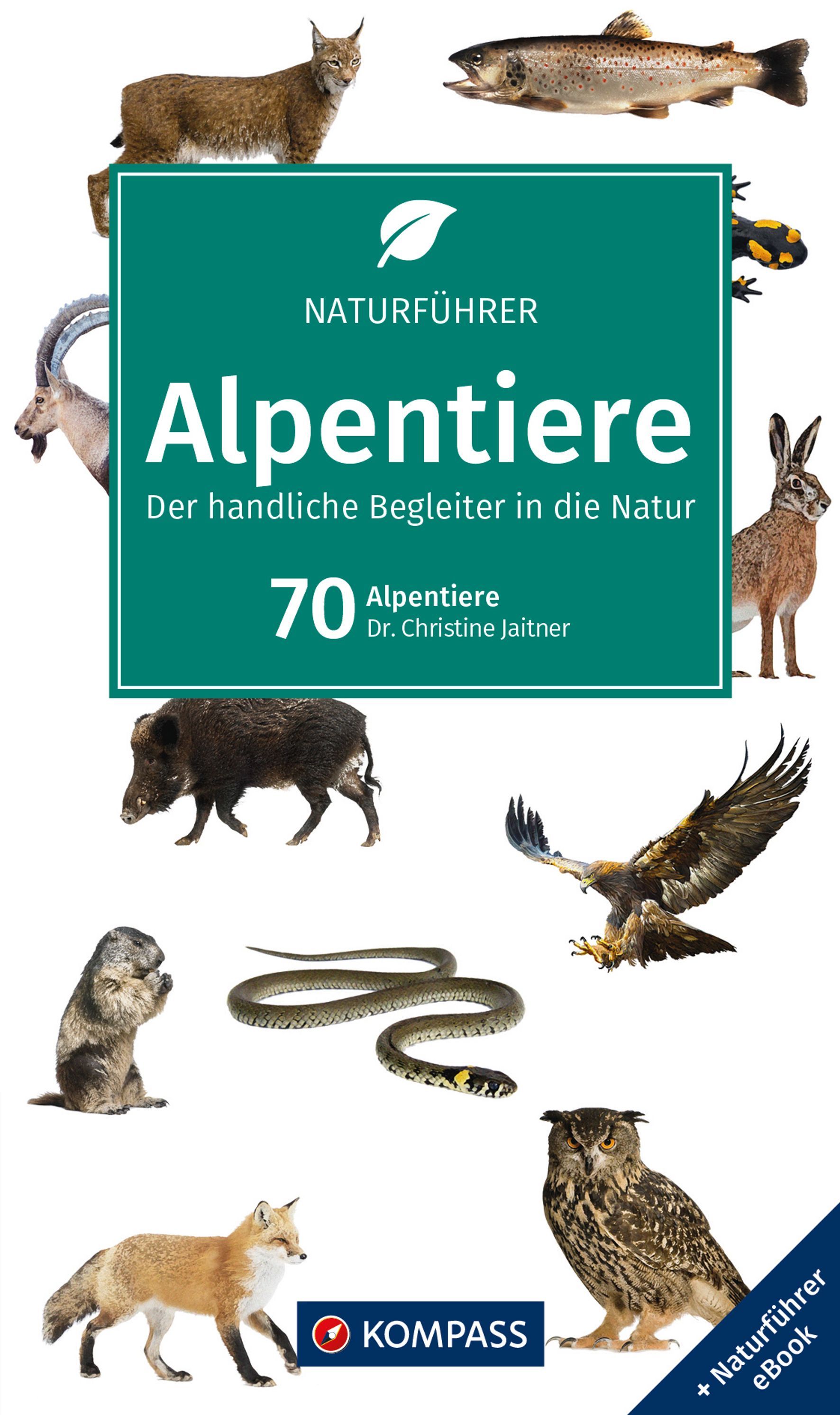 KOMPASS Naturführer Alpentiere Schwein, Antilope, Fische, Bär, Vogel