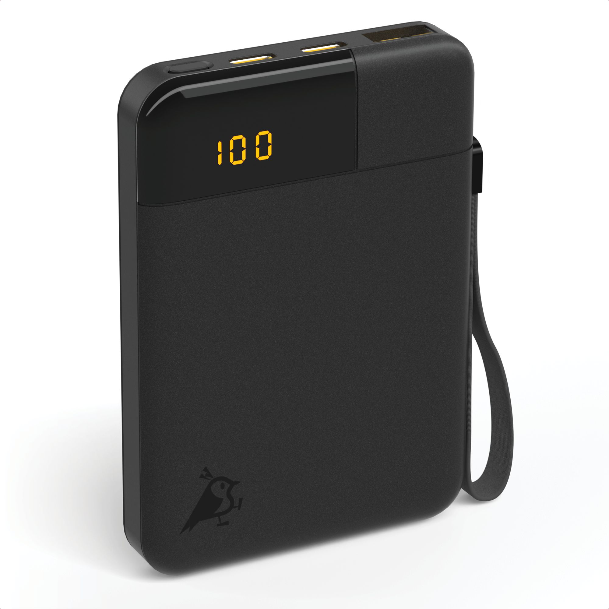 Powerbank, USB-C, digitale Anzeige, schwarz, Ladestation