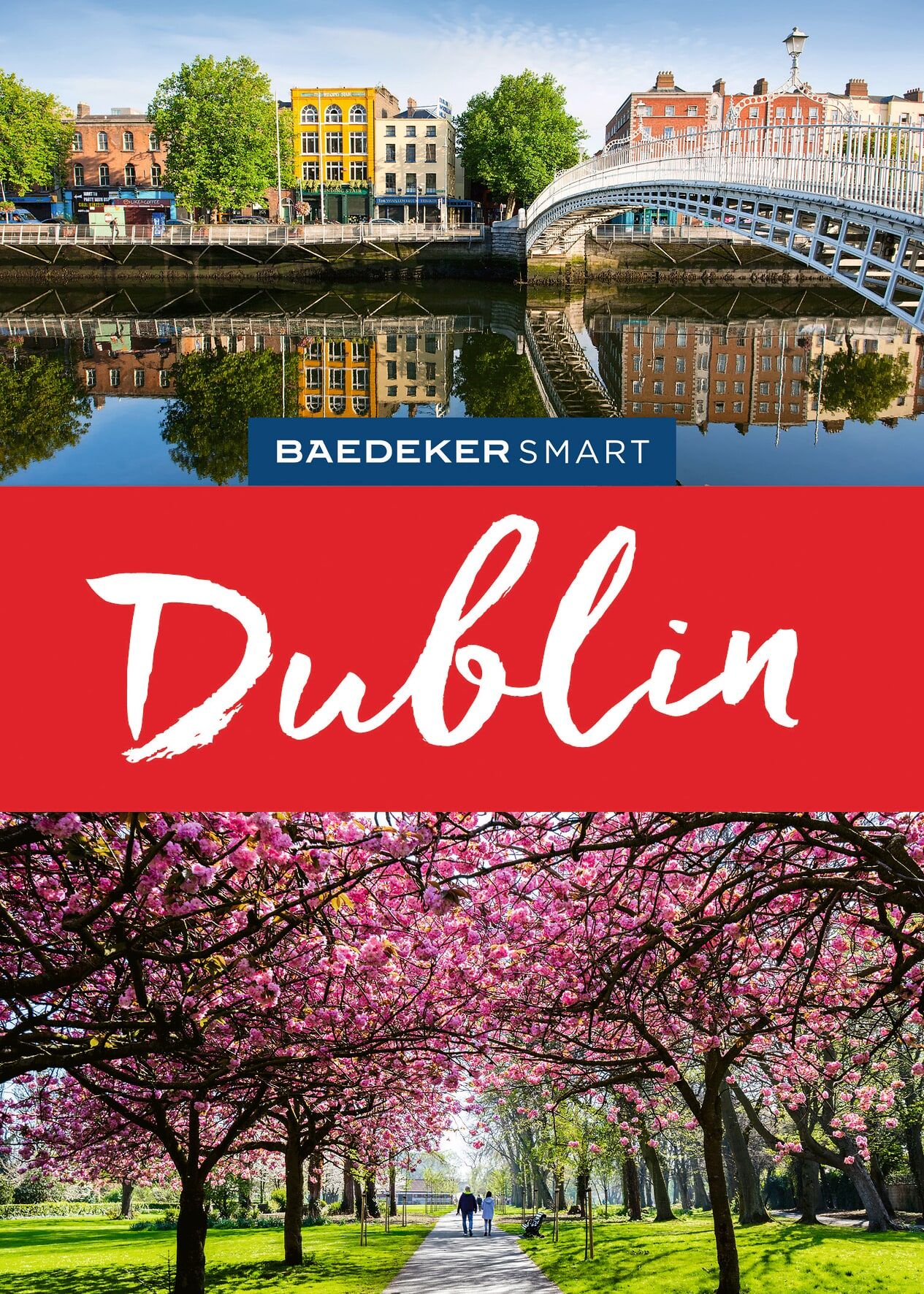 Stadtansicht, Flussbrücke, Gebäudekolorit, Dublin, Frühlingsbäume
