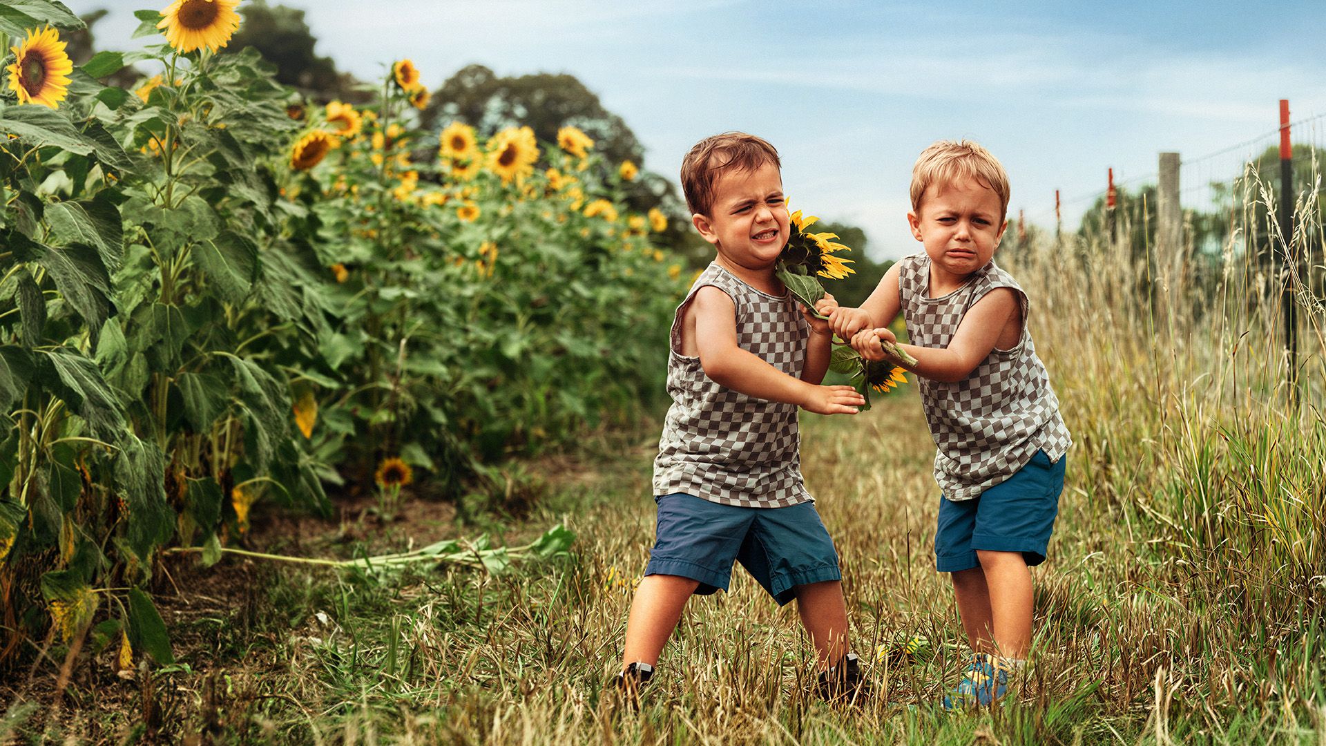 kinder, sunblumen, feld, zwei jungen, tanktop