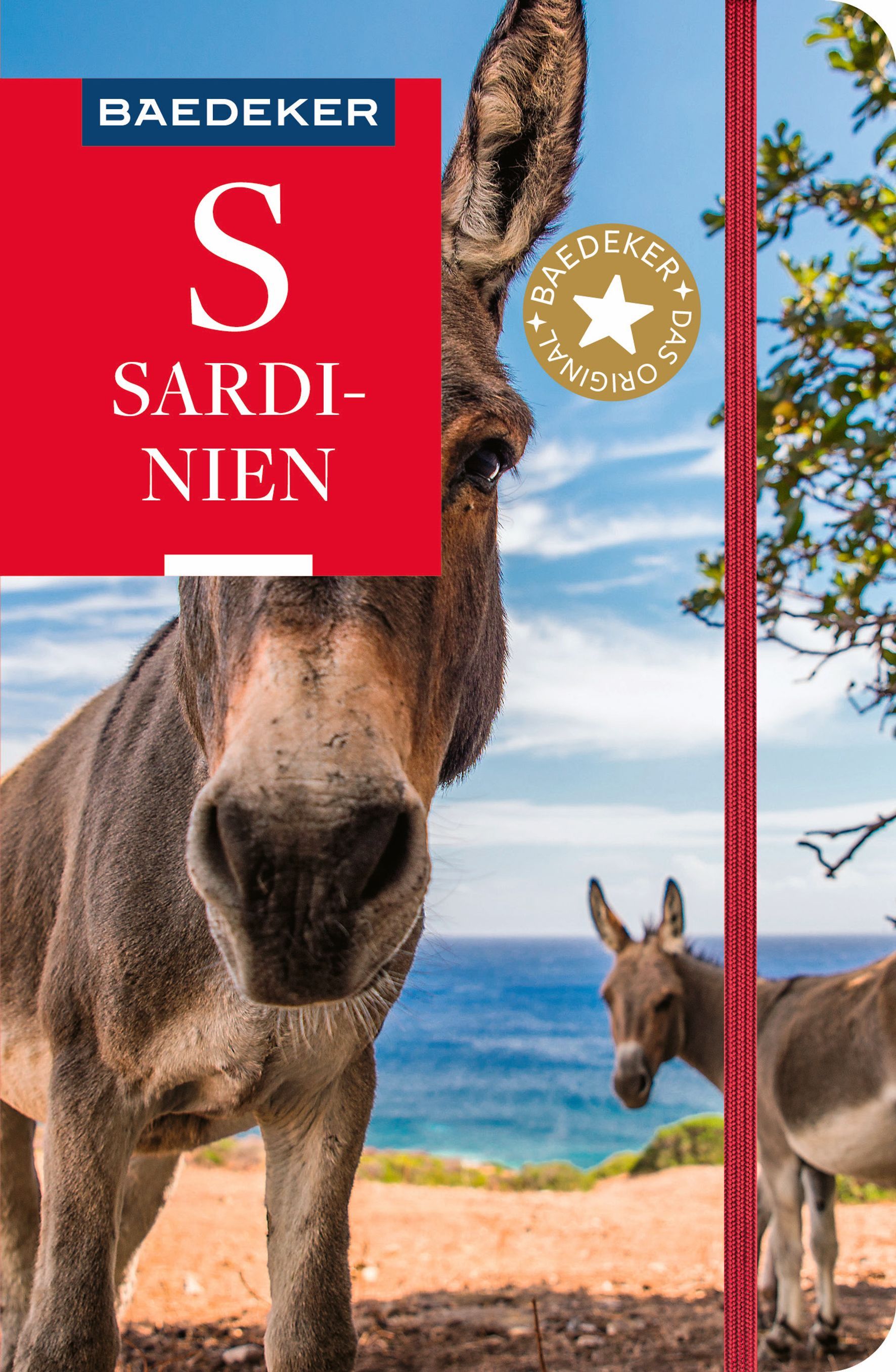 Esel, Pferd, Strand, Sardinen, Buchumschlagscover