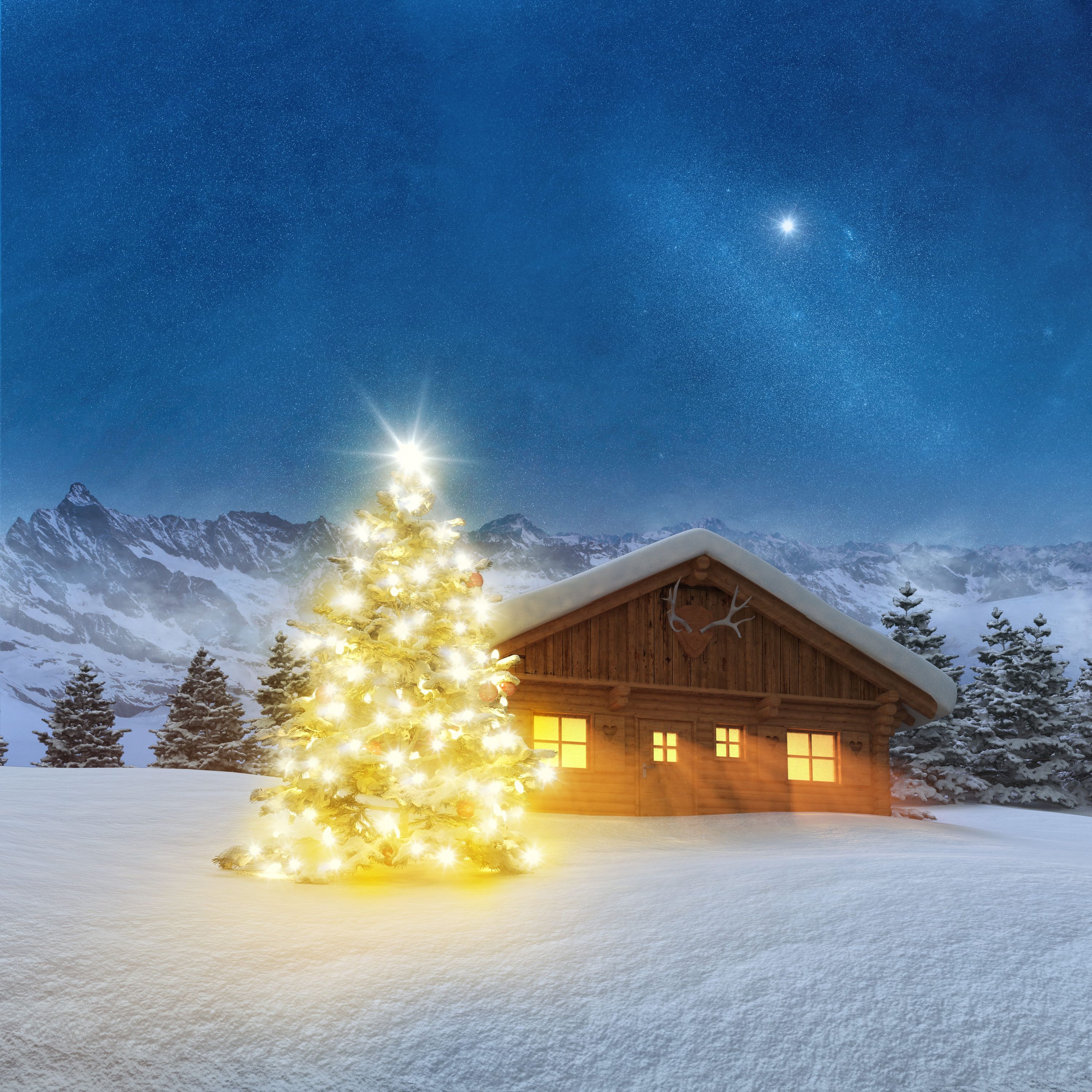 weihnachtsbaum, lichterkette, holzhaus, schnee, nacht