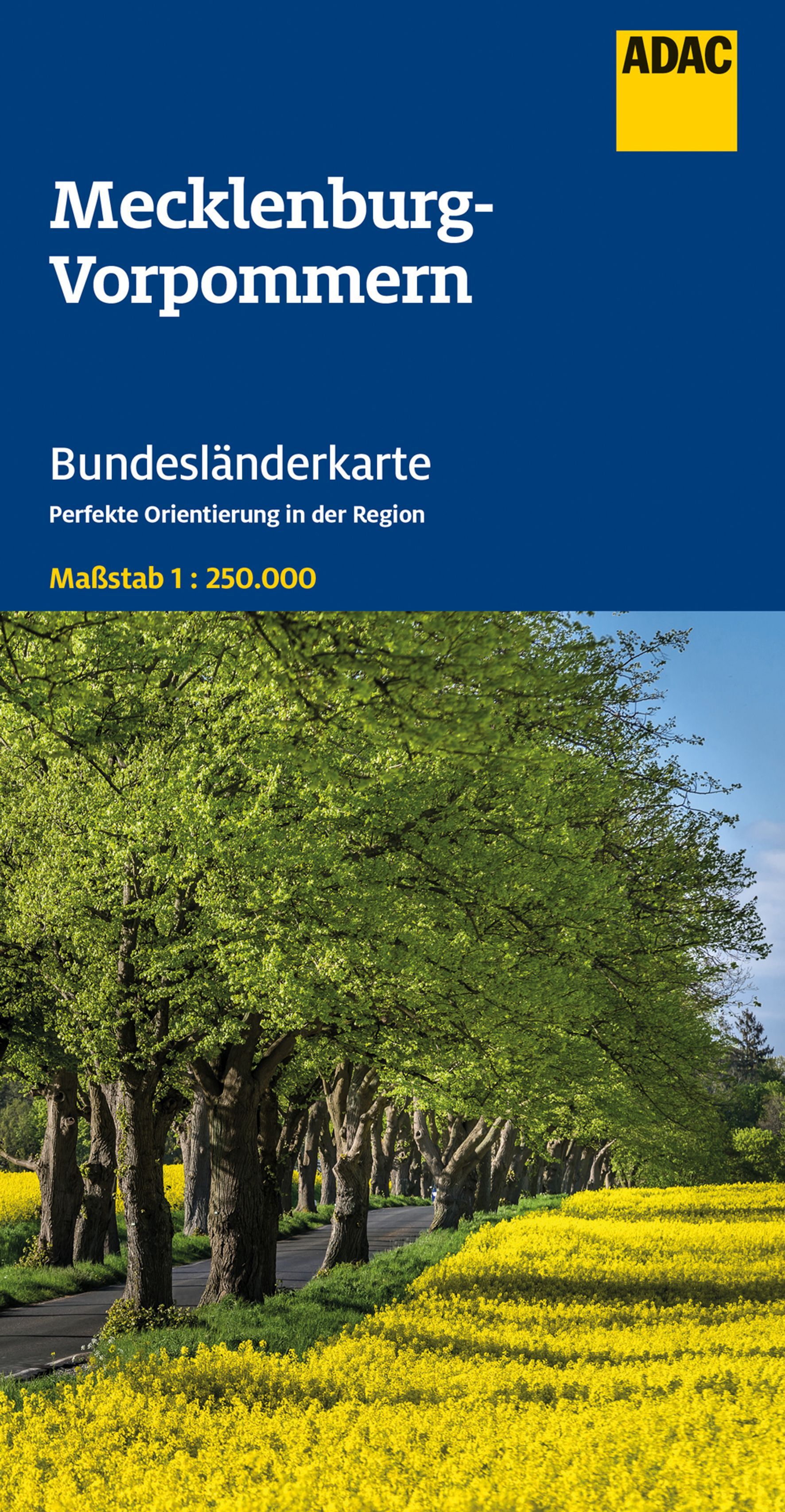 Baum, Bewuchs, Park, Landschaft, Werbung